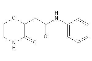 2-(3-ketomorpholin-2-yl)-N-phenyl-acetamide