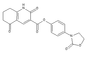2,5-diketo-1,6,7,8-tetrahydroquinoline-3-carboxylic Acid [4-(2-ketooxazolidin-3-yl)phenyl] Ester
