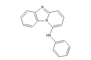 Phenyl(pyrido[1,2-a]benzimidazol-1-yl)amine