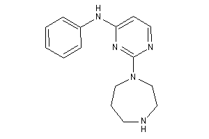 [2-(1,4-diazepan-1-yl)pyrimidin-4-yl]-phenyl-amine