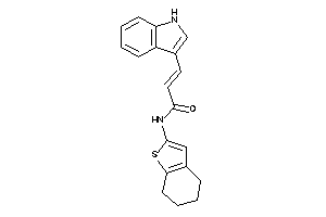 Image of 3-(1H-indol-3-yl)-N-(4,5,6,7-tetrahydrobenzothiophen-2-yl)acrylamide