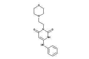 6-anilino-3-(2-morpholinoethyl)uracil
