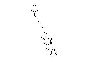 6-anilino-3-(8-morpholinooctyl)uracil