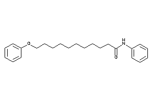 Image of 11-phenoxy-N-phenyl-undecanamide