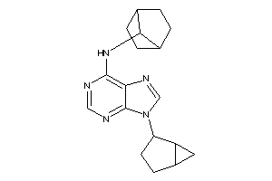 [9-(4-bicyclo[3.1.0]hexanyl)purin-6-yl]-(7-norbornyl)amine