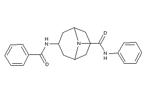 7-benzamido-N-phenyl-9-azabicyclo[3.3.1]nonane-9-carboxamide