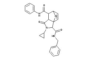 N'-benzyl-cyclopropyl-keto-N-phenyl-BLAHdicarboxamide