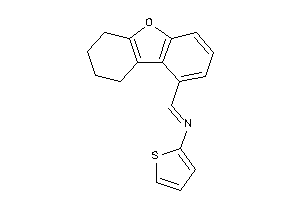 6,7,8,9-tetrahydrodibenzofuran-1-ylmethylene(2-thienyl)amine