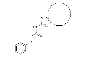 Image of N-(4,5,6,7,8,9,10,11,12,13-decahydrocyclododeca[b]thiophen-2-yl)-2-phenoxy-acetamide