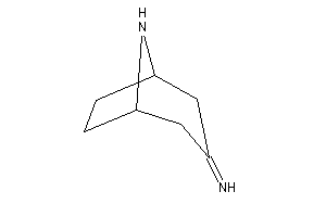 Image of 8-azabicyclo[3.2.1]octan-3-ylideneamine