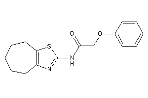 Image of 2-phenoxy-N-(5,6,7,8-tetrahydro-4H-cyclohepta[d]thiazol-2-yl)acetamide