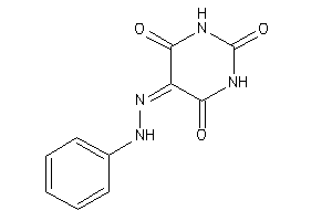 5-(phenylhydrazono)barbituric Acid