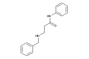 3-(benzylamino)-N-phenyl-propionamide