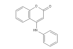 Image of 4-anilinocoumarin