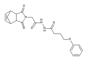 N'-[2-(diketoBLAHyl)acetyl]-4-phenoxy-butyrohydrazide