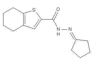 N-(cyclopentylideneamino)-4,5,6,7-tetrahydrobenzothiophene-2-carboxamide