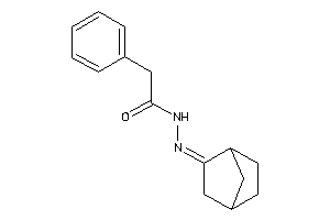 Image of N-(norbornan-2-ylideneamino)-2-phenyl-acetamide