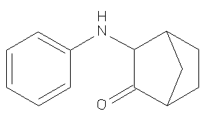 Image of 3-anilinonorbornan-2-one