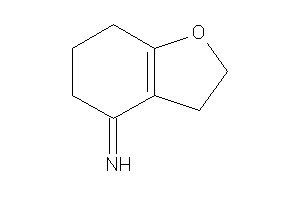 Image of 3,5,6,7-tetrahydro-2H-benzofuran-4-ylideneamine