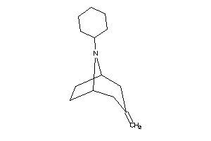 8-cyclohexyl-3-methylene-8-azabicyclo[3.2.1]octane