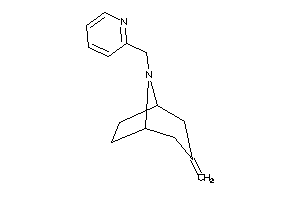 3-methylene-8-(2-pyridylmethyl)-8-azabicyclo[3.2.1]octane
