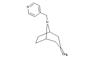 3-methylene-8-(4-pyridylmethyl)-8-azabicyclo[3.2.1]octane
