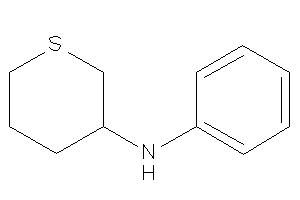 Phenyl(tetrahydrothiopyran-3-yl)amine