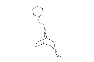 4-[2-(3-methylene-8-azabicyclo[3.2.1]octan-8-yl)ethyl]morpholine