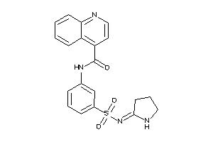 Image of N-[3-(pyrrolidin-2-ylideneamino)sulfonylphenyl]cinchoninamide