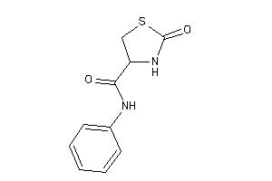 2-keto-N-phenyl-thiazolidine-4-carboxamide