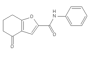 Image of 4-keto-N-phenyl-6,7-dihydro-5H-benzofuran-2-carboxamide