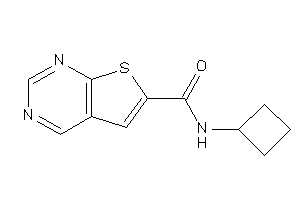 Image of N-cyclobutylthieno[2,3-d]pyrimidine-6-carboxamide