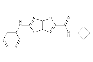2-anilino-N-cyclobutyl-thieno[2,3-d]thiazole-5-carboxamide