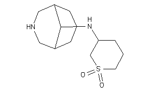 7-azabicyclo[3.3.1]nonan-9-yl-(1,1-diketothian-3-yl)amine