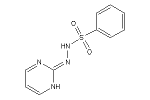 N-(1H-pyrimidin-2-ylideneamino)benzenesulfonamide