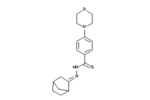 4-morpholino-N-(norbornan-2-ylideneamino)benzamide
