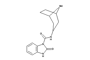 N-(8-azabicyclo[3.2.1]octan-3-yl)-2-keto-3H-benzimidazole-1-carboxamide