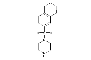 1-tetralin-6-ylsulfonylpiperazine