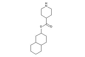 Image of Isonipecot Decalin-2-yl Ester