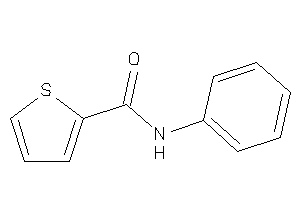 N-phenylthiophene-2-carboxamide