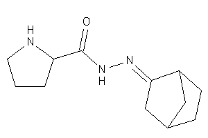 Image of N-(norbornan-2-ylideneamino)pyrrolidine-2-carboxamide