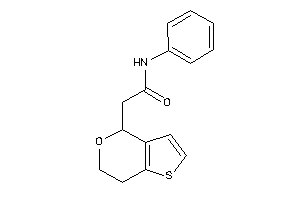 2-(6,7-dihydro-4H-thieno[3,2-c]pyran-4-yl)-N-phenyl-acetamide