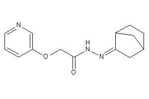 N-(norbornan-2-ylideneamino)-2-(3-pyridyloxy)acetamide