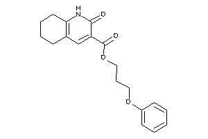 Image of 2-keto-5,6,7,8-tetrahydro-1H-quinoline-3-carboxylic Acid 3-phenoxypropyl Ester