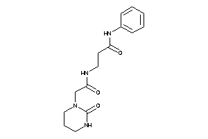 3-[[2-(2-ketohexahydropyrimidin-1-yl)acetyl]amino]-N-phenyl-propionamide