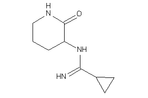 Image of N-(2-keto-3-piperidyl)cyclopropanecarboxamidine