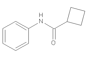 N-phenylcyclobutanecarboxamide