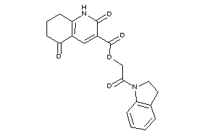 2,5-diketo-1,6,7,8-tetrahydroquinoline-3-carboxylic Acid (2-indolin-1-yl-2-keto-ethyl) Ester