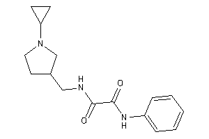 N-[(1-cyclopropylpyrrolidin-3-yl)methyl]-N'-phenyl-oxamide