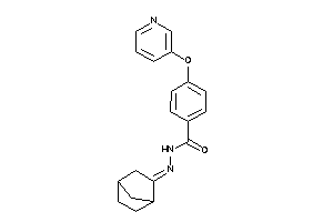 N-(norbornan-2-ylideneamino)-4-(3-pyridyloxy)benzamide